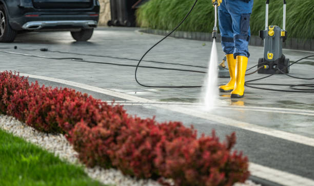 Best Concrete Pressure Washing  in Buena Vista, CO