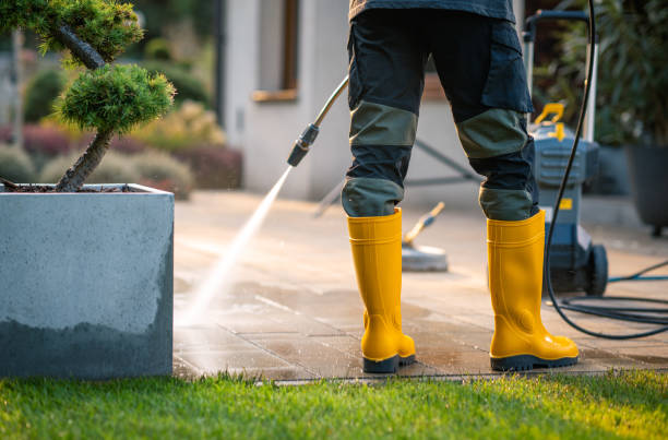 Best Local Pressure Washing Services  in Buena Vista, CO